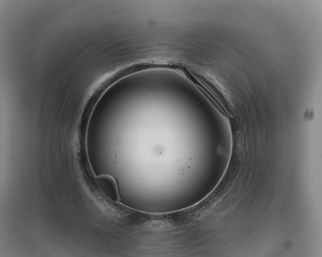 X0000096710536200802121227