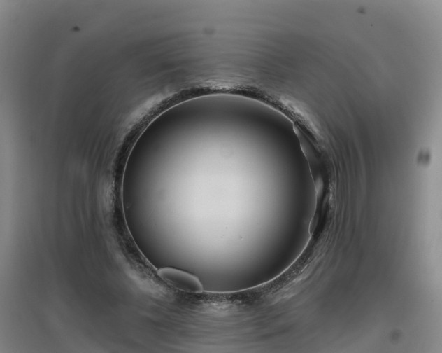 X0000096710540200802121227