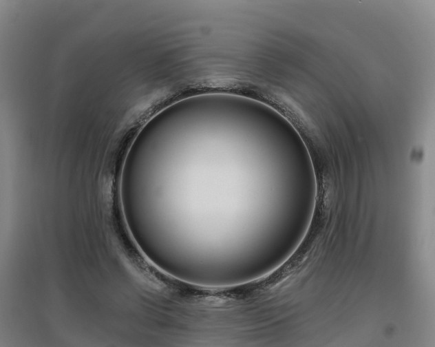 X0000096710542200802121227