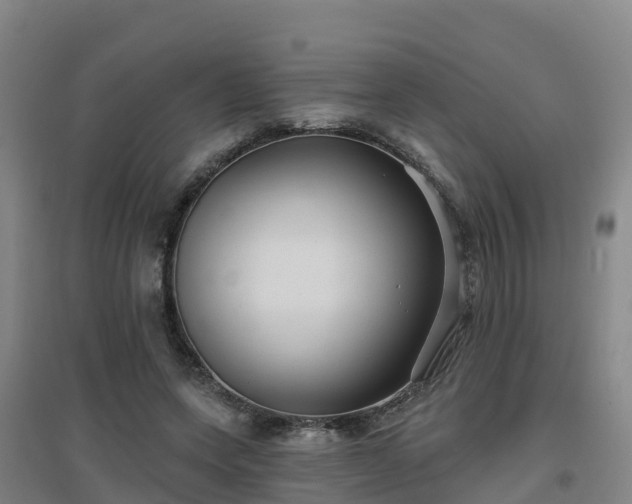 X0000096710543200802121227