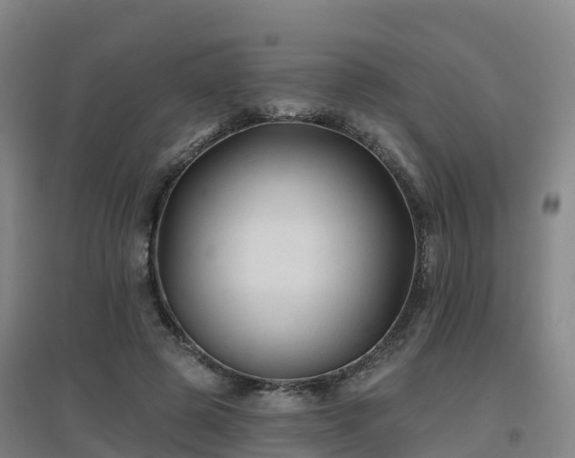 X0000096710545200802121227