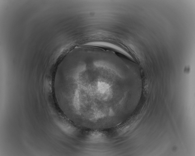 X0000096710547200802121227