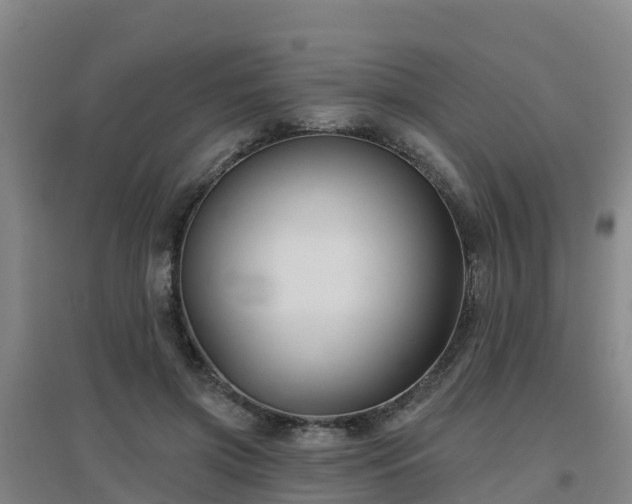 X0000096710549200802121227