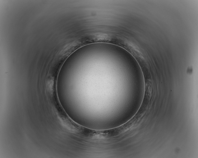 X0000096710550200802121227