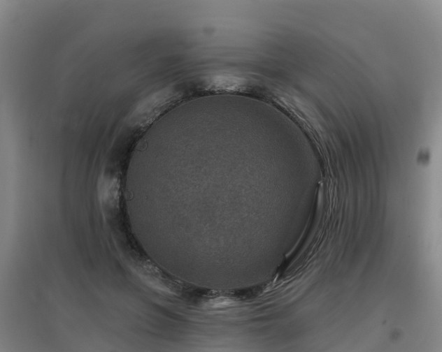 X0000096710551200802121227