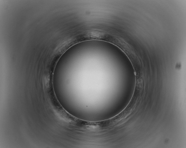 X0000096710552200802121227