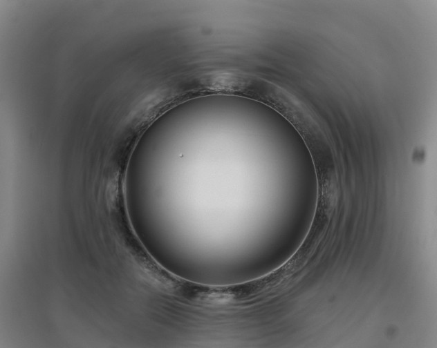 X0000096710554200802121227