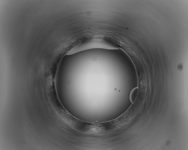 X0000096710555200802121227