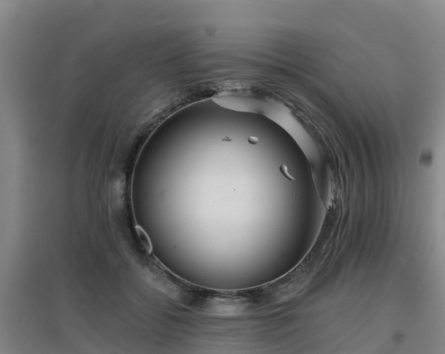 X0000096710556200802121227