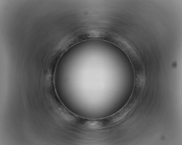 X0000096710557200802121227