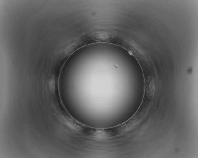 X0000096710562200802121228