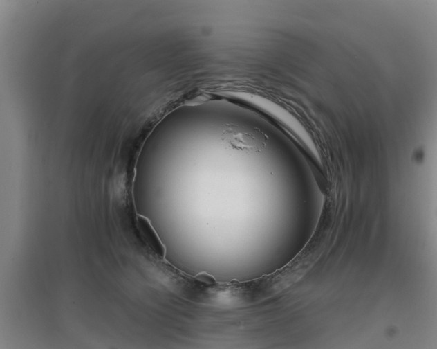 X0000096710564200802121228