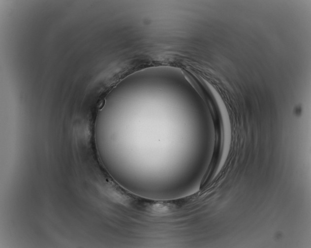 X0000096710566200802121228