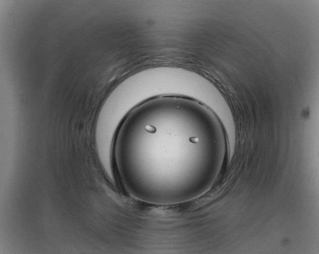 X0000096710568200802121228