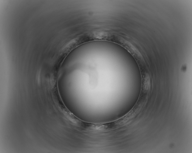 X0000096710569200802121228