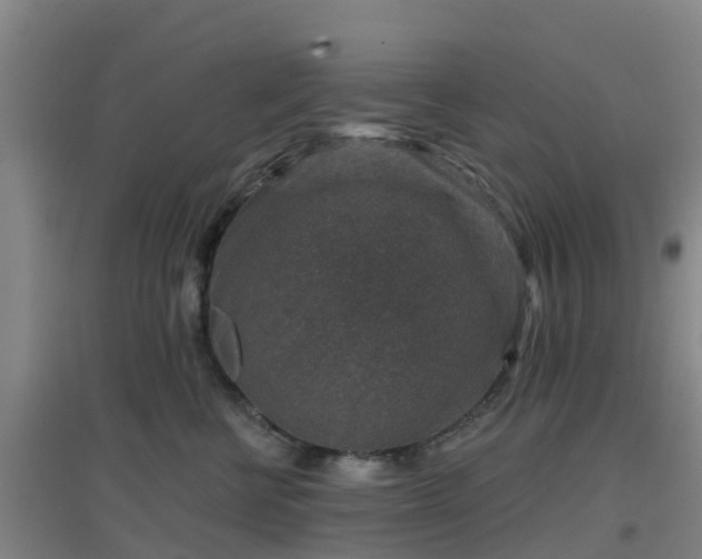 X0000096710570200802121228