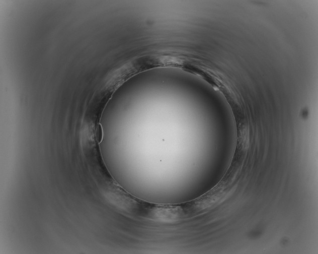 X0000096710571200802121228