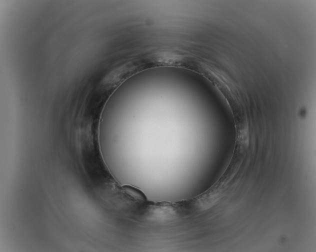 X0000096710572200802121228