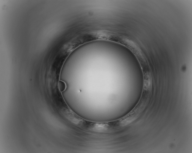 X0000096710573200802121228