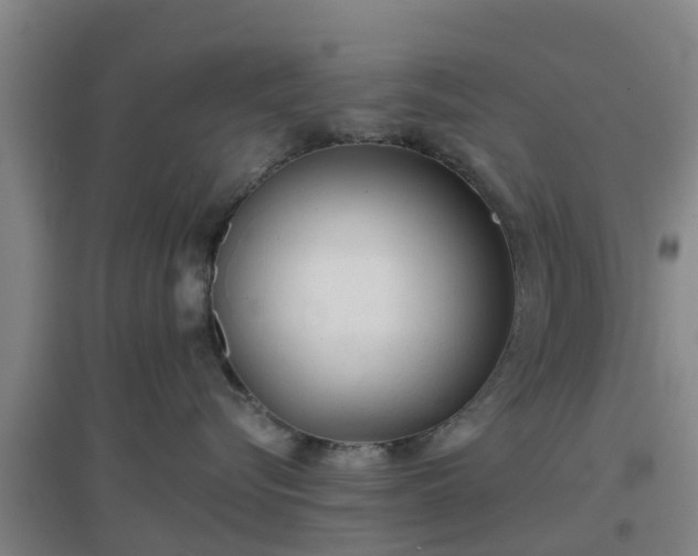 X0000096710576200802121228