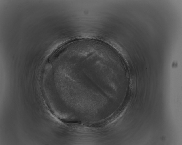 X0000096710577200802121227