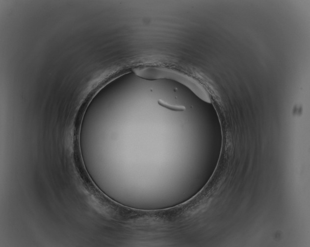 X0000096710578200802121227