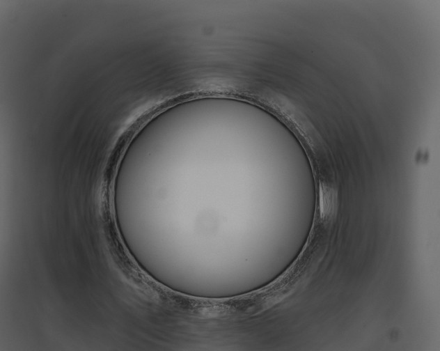 X0000096710579200802121227