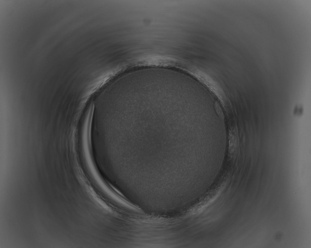 X0000096710581200802121227