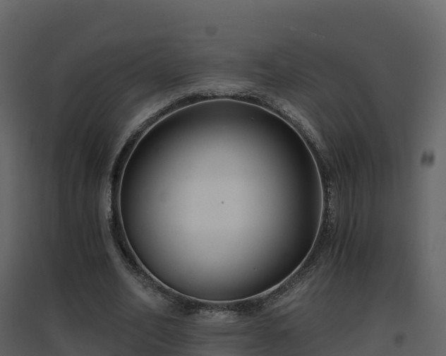 X0000096710582200802121227