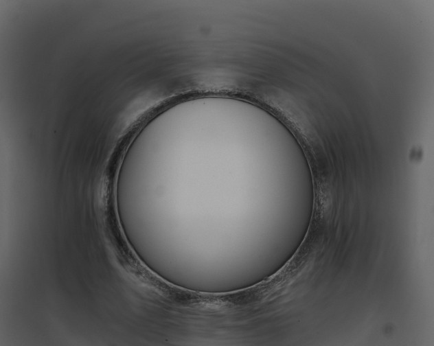 X0000096710583200802121227