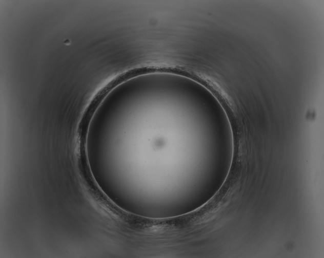 X0000096710584200802121227