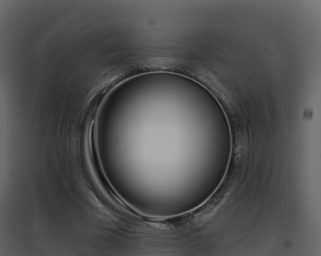 X0000096710585200802121227