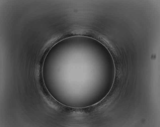 X0000096710586200802121227