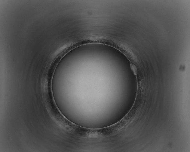 X0000096710587200802121227