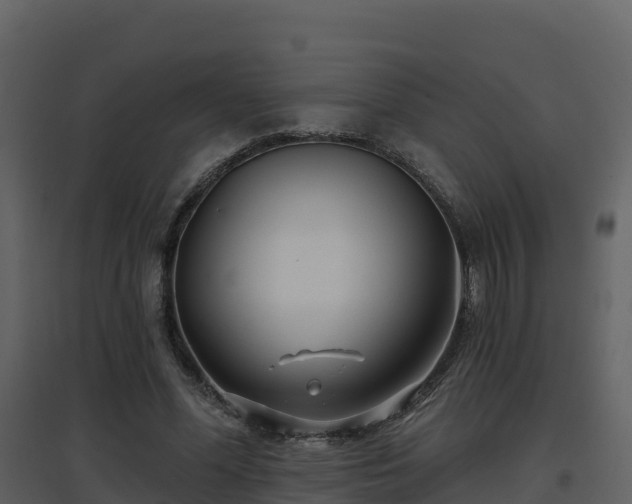 X0000096710588200802121227