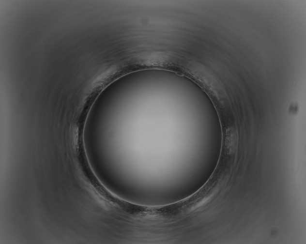 X0000096710589200802121227