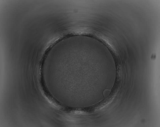 X0000096710590200802121227