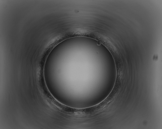 X0000096710591200802121227