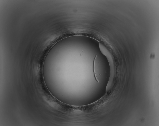 X0000096710592200802121227