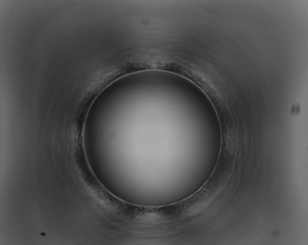 X0000096710594200802121227