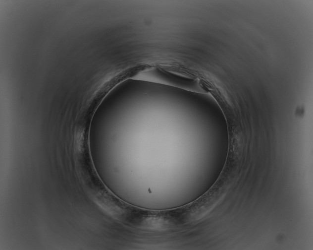 X0000096710596200802121227