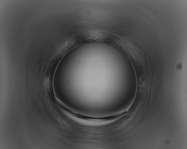 X0000096710597200802121227