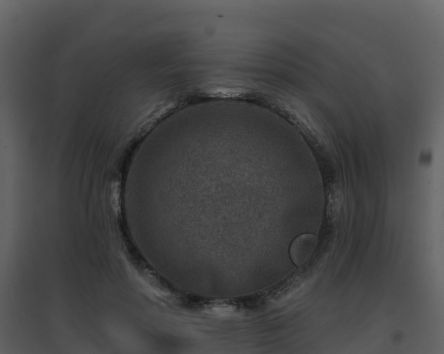 X0000096710598200802121227