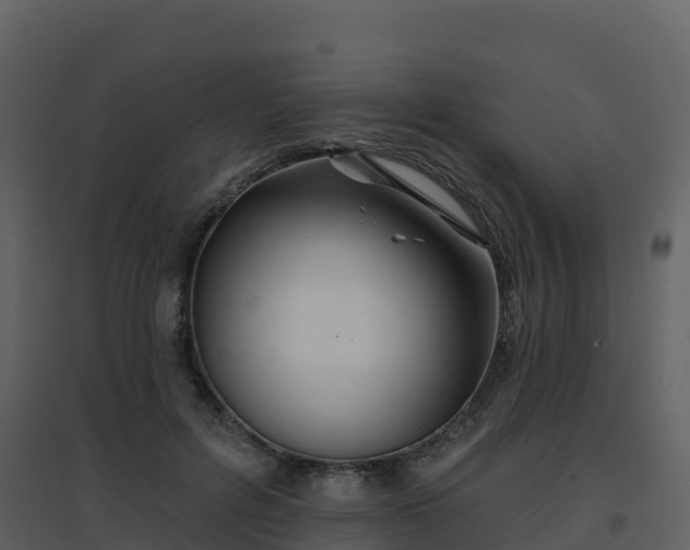 X0000096710600200802121227