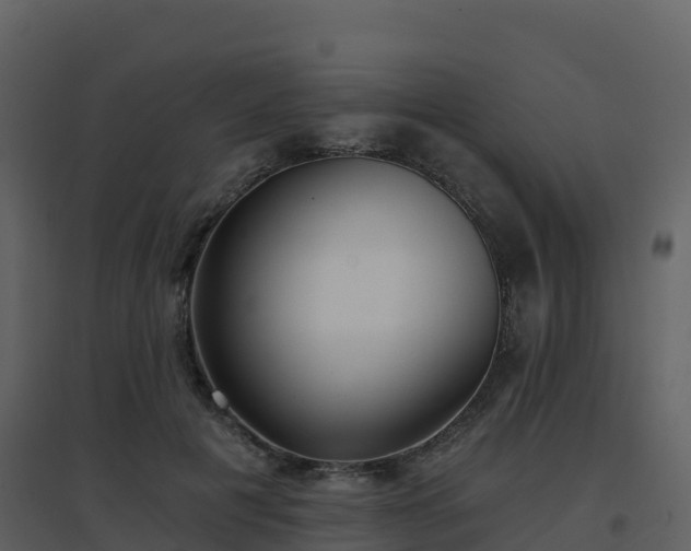 X0000096710601200802121227