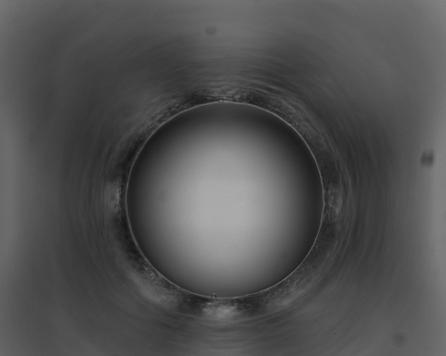 X0000096710602200802121227