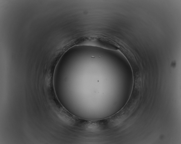 X0000096710604200802121227