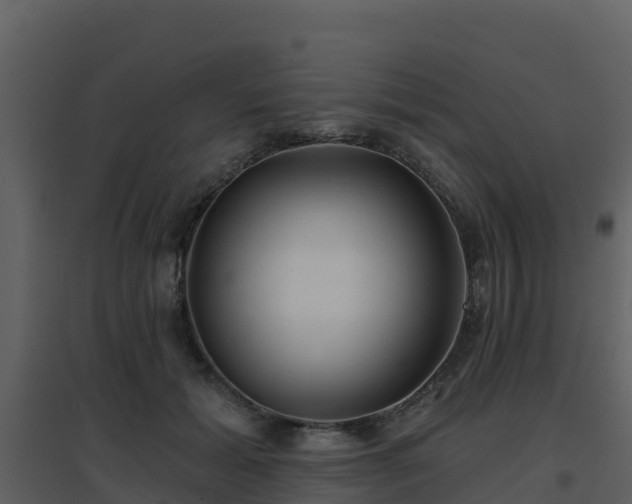 X0000096710605200802121227