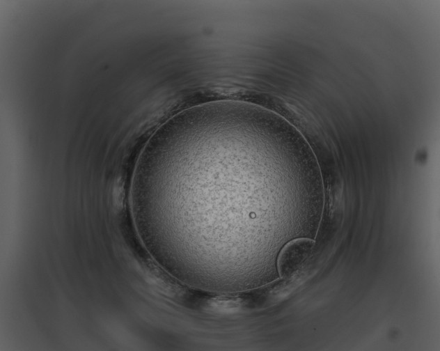 X0000096710606200802121227