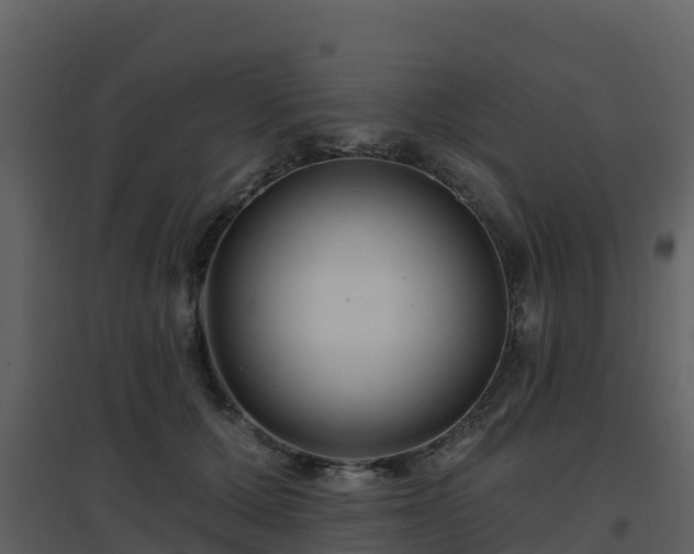 X0000096710607200802121227